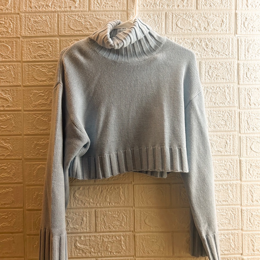 H&M turtleneck crop top